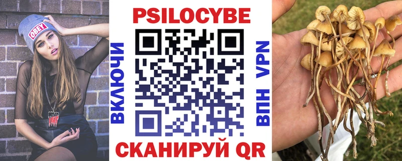 нарко площадка клад  продажа наркотиков  Мичуринск  Галлюциногенные грибы Psilocybine cubensis 
